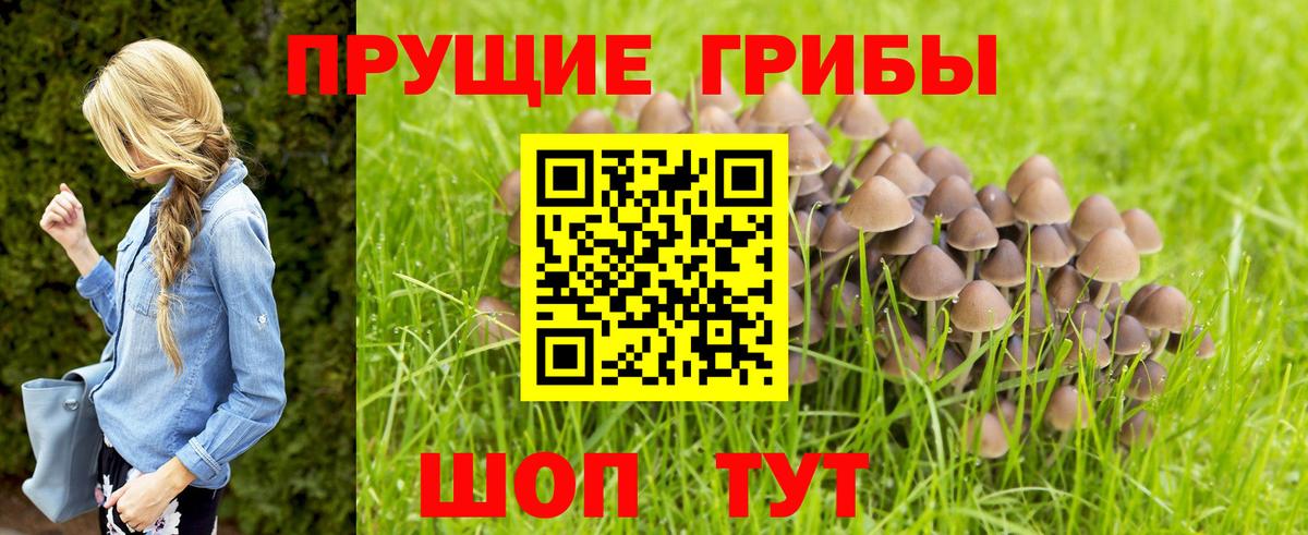 Галлюциногенные грибы ЛСД  Вход с VPN  Подольск  Галлюциногенные грибы прущие грибы 