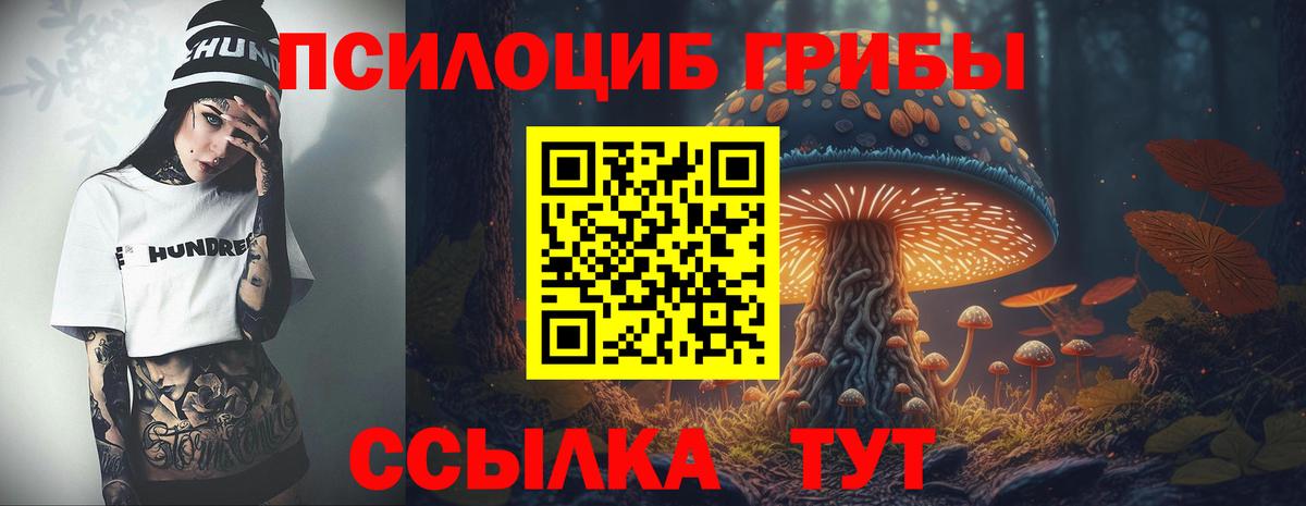 Псилоцибиновые грибы Cubensis Подольск